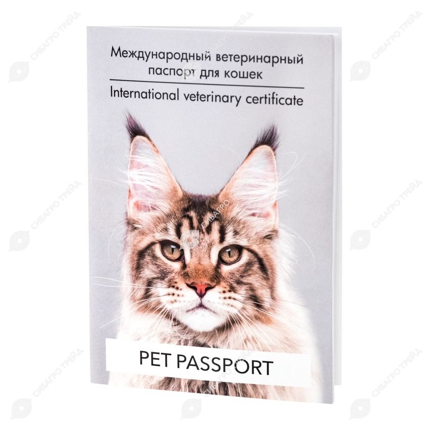 Паспорт Ветеринарный для кошек (САТ)