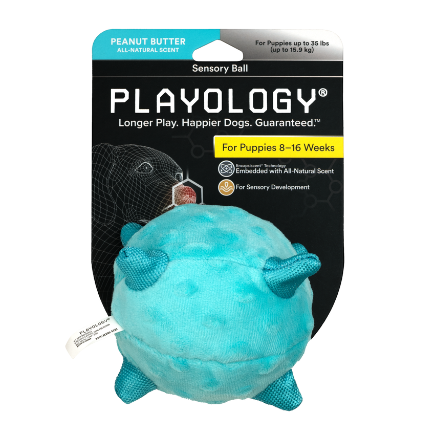 Сенсорный плюшевый мяч Playology 15 см для щенков с ароматом арахиса цвет голубой