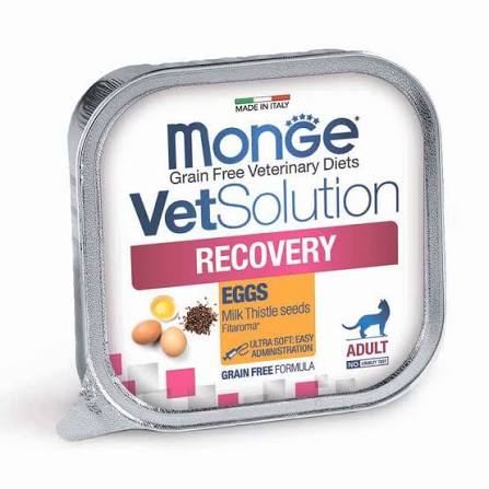 Диетический корм Monge VetSolution Cat Recovery Рекавери для кошек 100 г