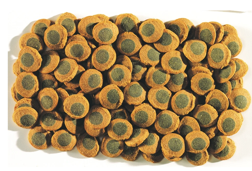 TetraPleco Spirulina Algae/Multi Wafers пластинки 15г Корм для крупных растительноядных рыб