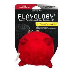 Сенсорный плюшевый мяч Playology 15 см для щенков с ароматом говядины, цвет красный
