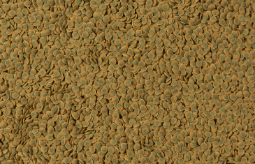 TetraPleco VeggieWafers пластинки 100мл Основной корм для сомиков и водорослеедов с цукини