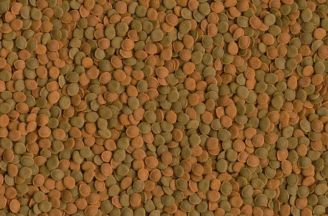 TetraWafer Mix пластинки 100мл Корм для травоядных, хищных и донных рыб с добав. креветок