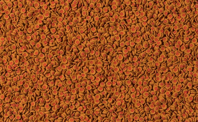 TetraCory ShrimpWafers пластинки 100мл Полноценный корм для плекостомусов и коридорасов
