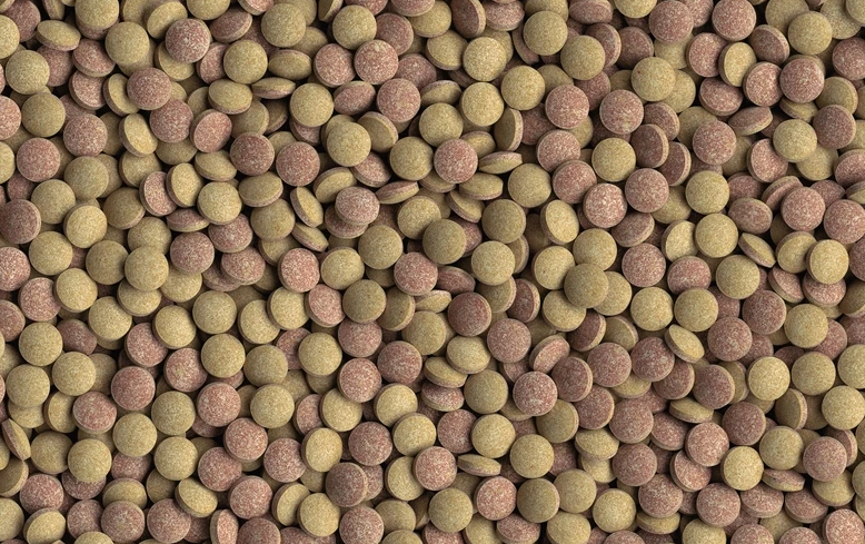 TetraTablets TabiMin (таблетки) 120таб. Корм для сомов и донных рыб (Германия)